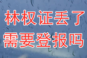 林权证丢了需要登报吗？