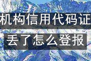 机构信用代码证丢了怎么登报？