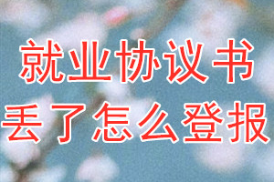 就业协议书丢了怎么登报？