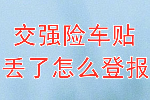 交强险车贴丢了怎么登报？