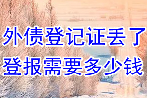 外债登记证丢了登报需要多少钱？