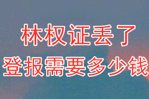 林权证丢了登报需要多少钱？