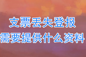 支票丢失登报需要提供什么资料