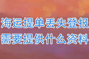 海运提单丢失登报需要提供什么资料