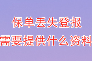 保单丢失登报需要提供什么资料