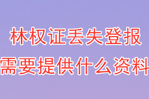 林权证丢失登报需要提供什么资料