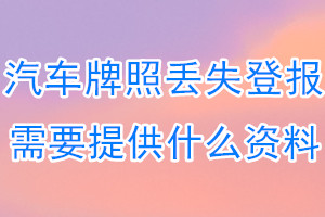 汽车牌照丢失登报需要提供什么资料