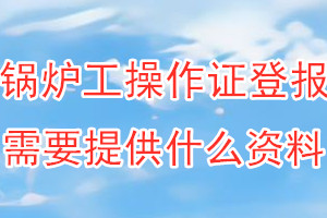 锅炉工操作证丢失登报需要提供什么资料