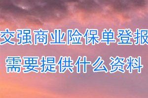 交强商业险保单丢失登报需要提供什么资料