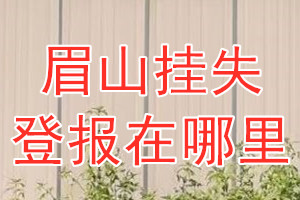 眉山挂失登报在哪里