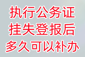 执行公务证丢失登报后多久可以补办