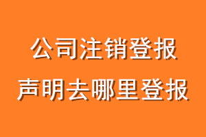 公司注销登报声明去哪里登报