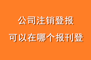 公司注销登报可以在哪个报刊登