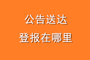 公告送达登报在哪里