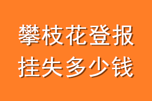 攀枝花登报挂失多少钱